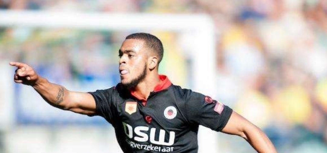 他们的引援 他们的引援