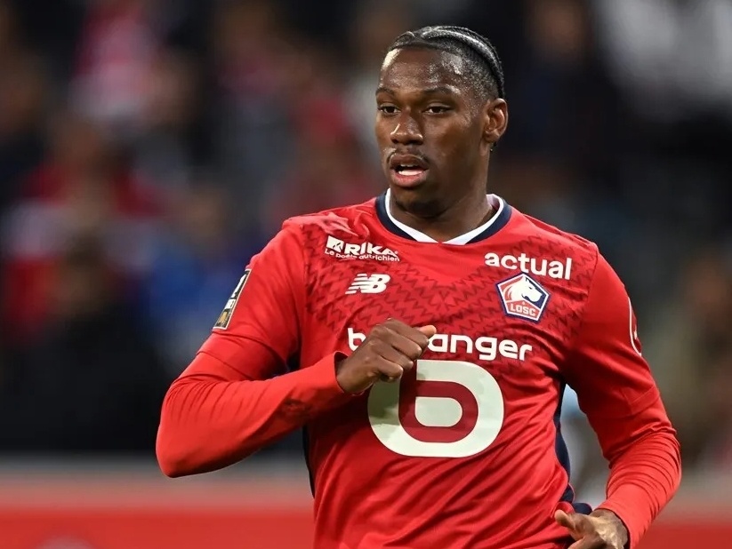 近年来的多 近年来的多