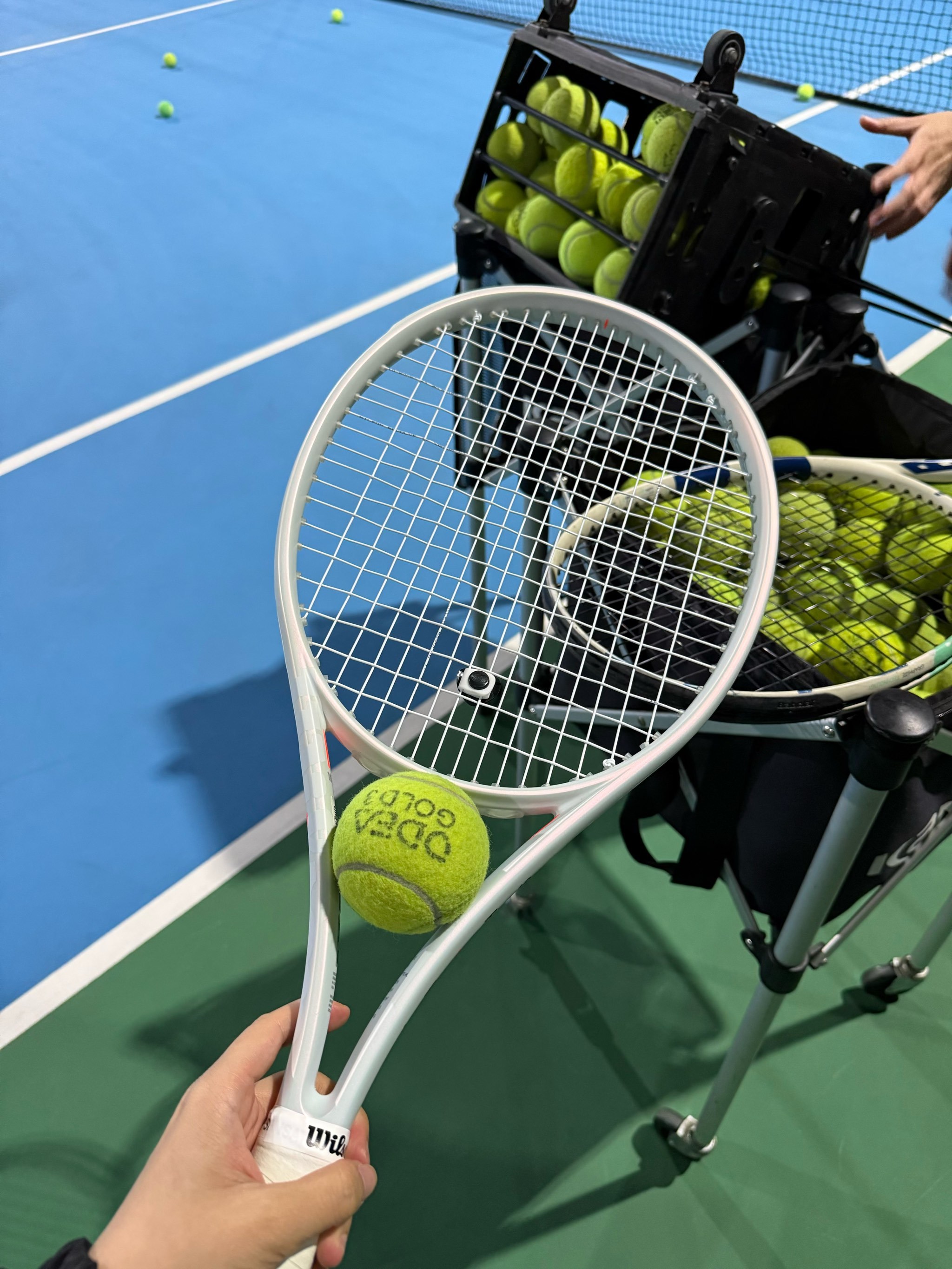 犹他爵士队 犹他爵士队