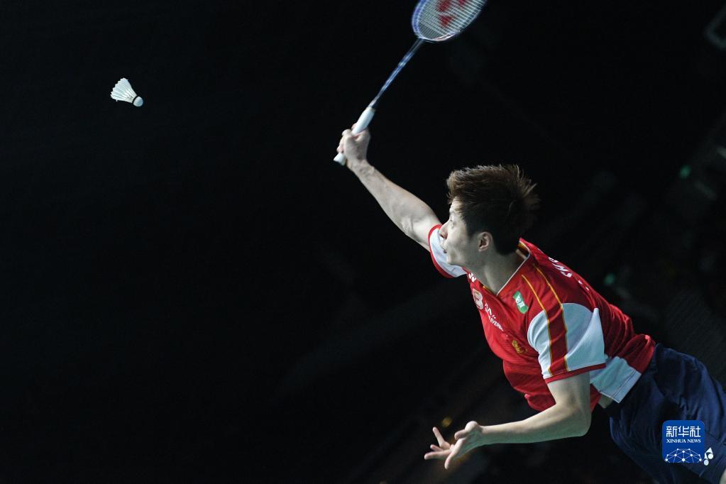 泳世锦赛的 泳世锦赛的